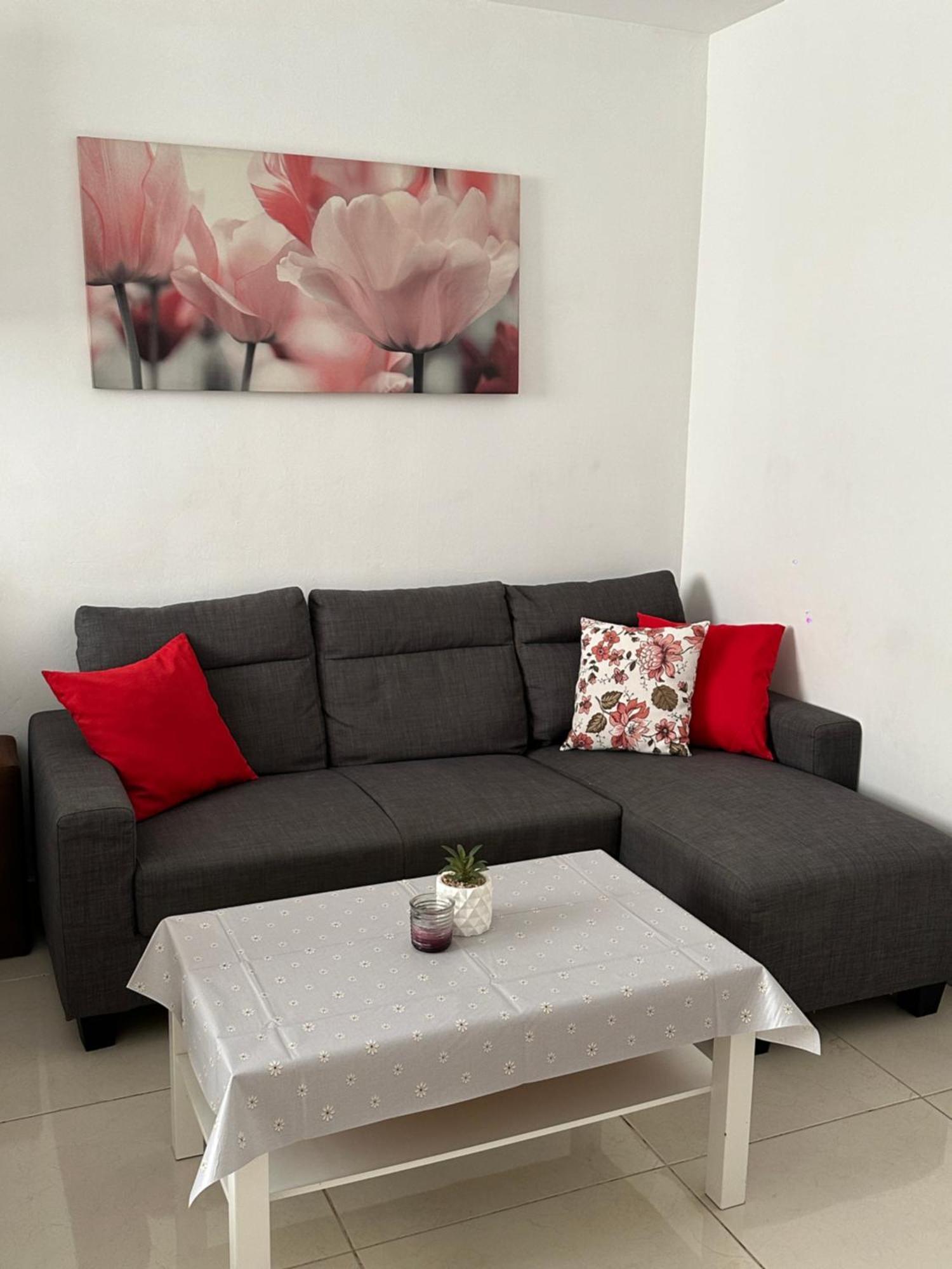 Modern And Bright 5 Bedroom Apartment Del Prado Gandia Ngoại thất bức ảnh
