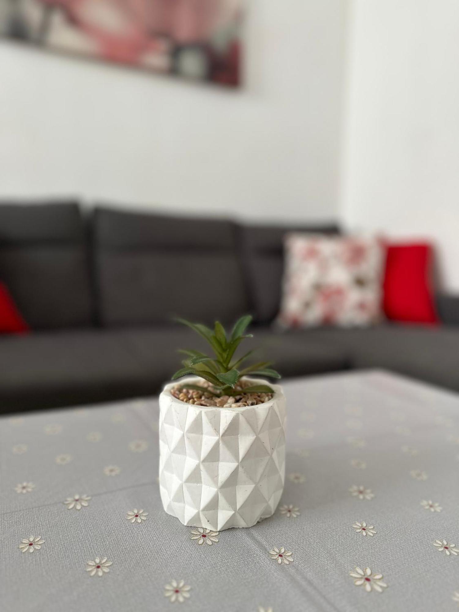 Modern And Bright 5 Bedroom Apartment Del Prado Gandia Ngoại thất bức ảnh
